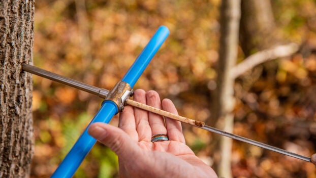 Family Forest Carbon Program includes management plans including analysis of family owned forests