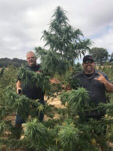 Richard Adamson (left) and Curtis Butler, operator at Southern Kentucky Hemp, pose next to a plant. 