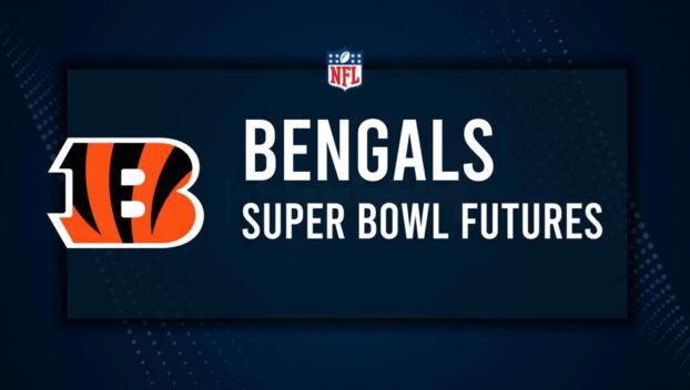 Cincinnati Bengals Super Bowl and NFL Playoff Odds